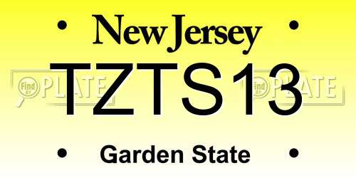 TZTS13 New Jersey License Plate