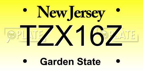 TZX16Z New Jersey License Plate