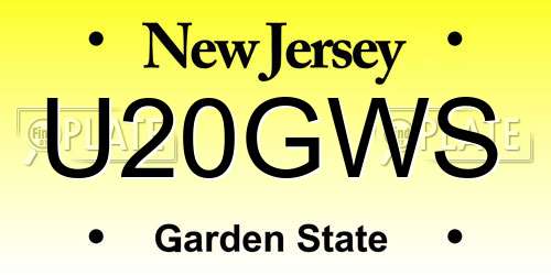 U20GWS New Jersey License Plate