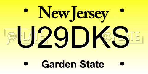 U29DKS New Jersey License Plate