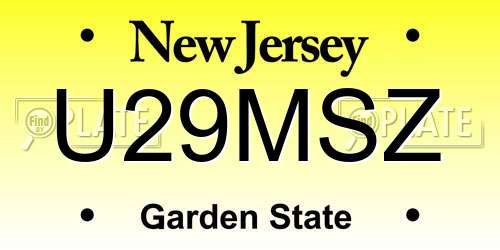 U29MSZ New Jersey License Plate