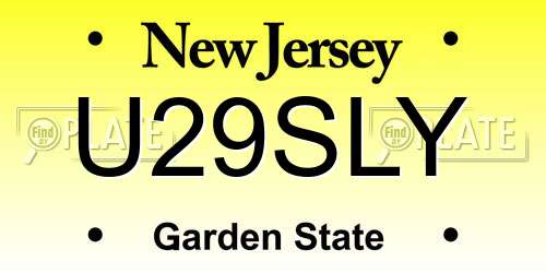 U29SLY New Jersey License Plate