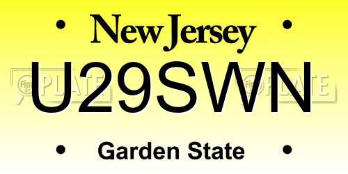 U29SWN New Jersey License Plate