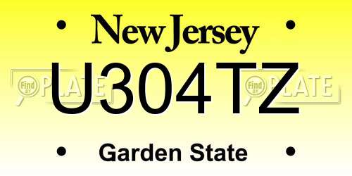 U304TZ New Jersey License Plate