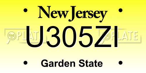 U305ZI New Jersey License Plate