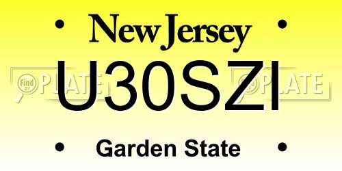 U30SZI New Jersey License Plate