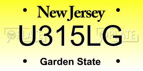 U315LG New Jersey License Plate