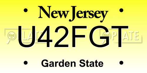 U42FGT New Jersey License Plate