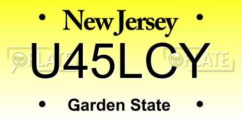 U45LCY New Jersey License Plate