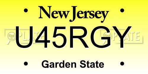 U45RGY New Jersey License Plate