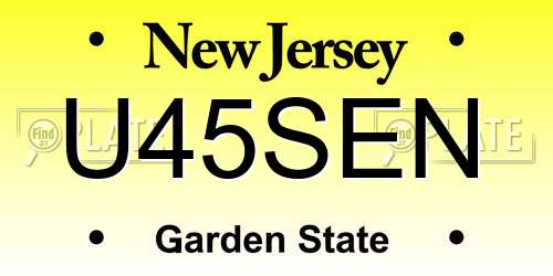 U45SEN New Jersey License Plate