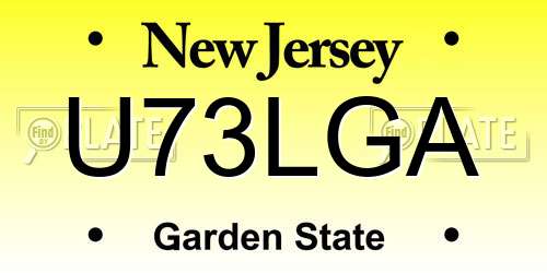 U73LGA New Jersey License Plate