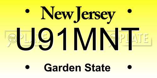 U91MNT New Jersey License Plate