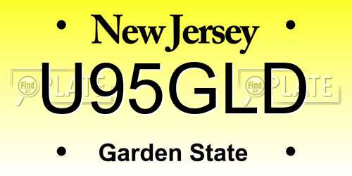 U95GLD New Jersey License Plate