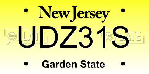 UDZ31S New Jersey License Plate
