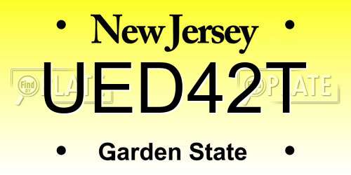 UED42T New Jersey License Plate