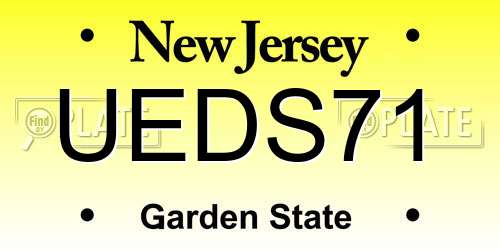 UEDS71 New Jersey License Plate
