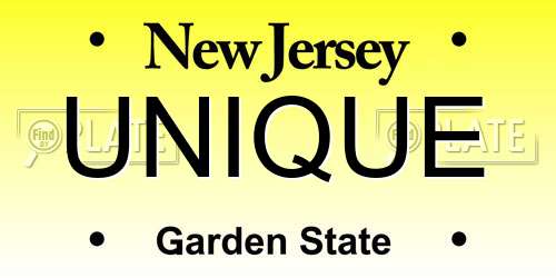UNIQUE New Jersey License Plate
