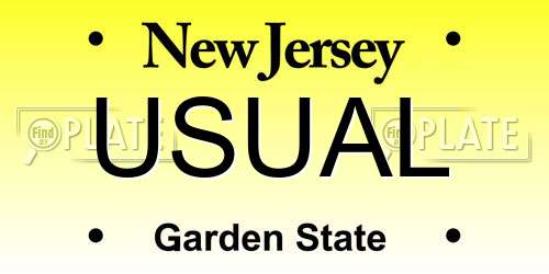 USUAL New Jersey License Plate
