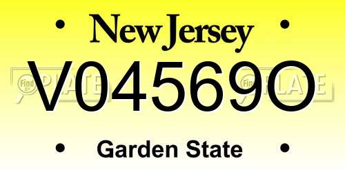 V04569O New Jersey License Plate
