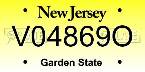 V04869O New Jersey License Plate