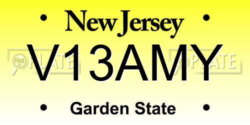 V13AMY New Jersey License Plate
