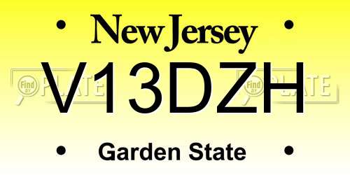 V13DZH New Jersey License Plate