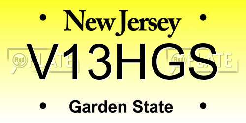 V13HGS New Jersey License Plate