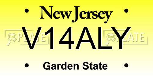 V14ALY New Jersey License Plate