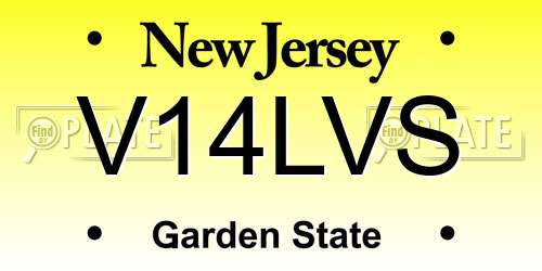 V14LVS New Jersey License Plate