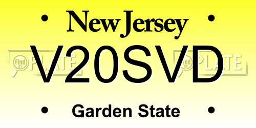 V20SVD New Jersey License Plate