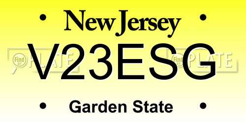 V23ESG New Jersey License Plate