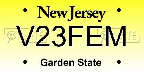 V23FEM New Jersey License Plate