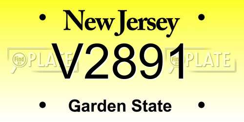 V2891 New Jersey License Plate