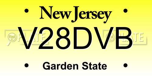 V28DVB New Jersey License Plate