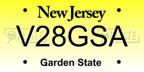 V28GSA New Jersey License Plate