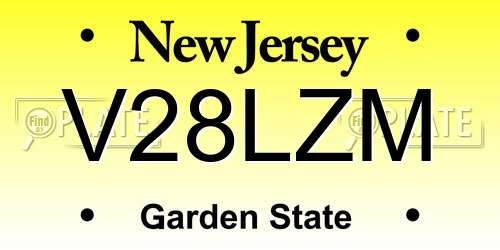 V28LZM New Jersey License Plate