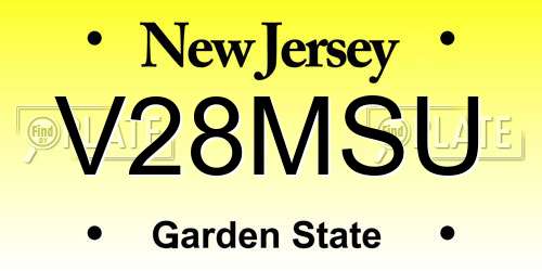 V28MSU New Jersey License Plate