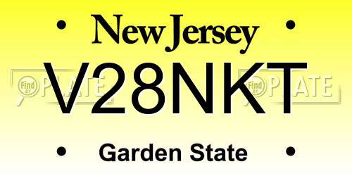 V28NKT New Jersey License Plate