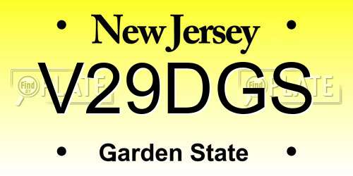 V29DGS New Jersey License Plate