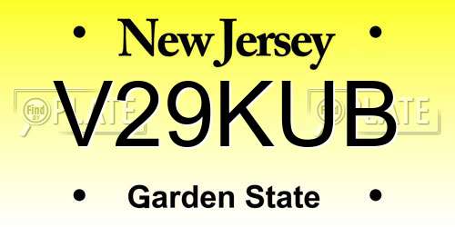 V29KUB New Jersey License Plate