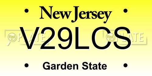 V29LCS New Jersey License Plate