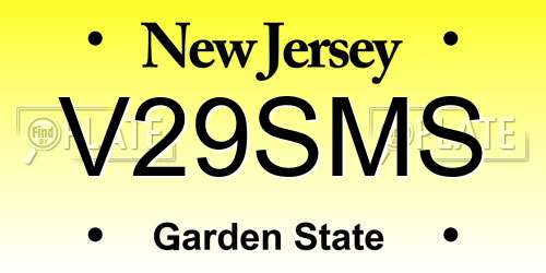 V29SMS New Jersey License Plate