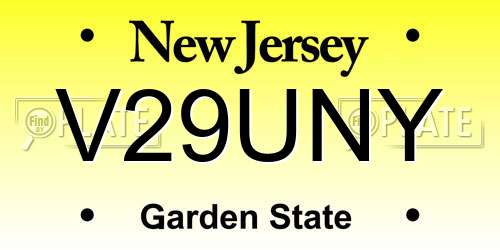 V29UNY New Jersey License Plate