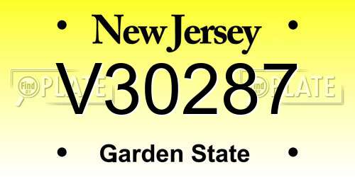 V30287 New Jersey License Plate