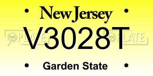 V3028T New Jersey License Plate