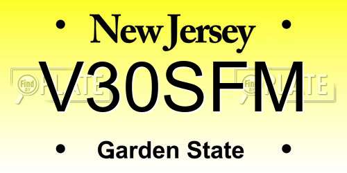 V30SFM New Jersey License Plate