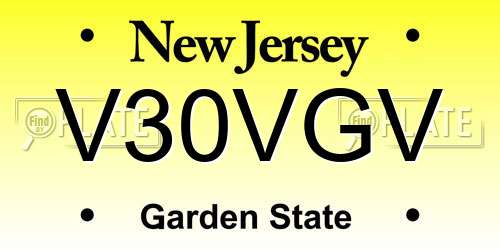 V30VGV New Jersey License Plate