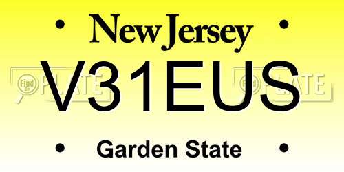 V31EUS New Jersey License Plate