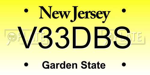 V33DBS New Jersey License Plate